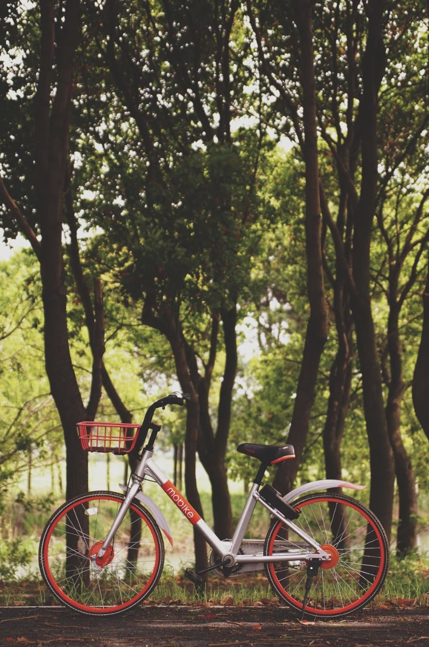 A bike with orange details and trees as background