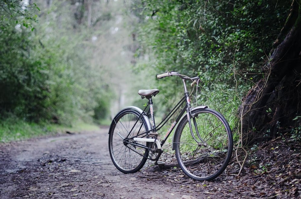 A gravel bike parked on a forest trail 