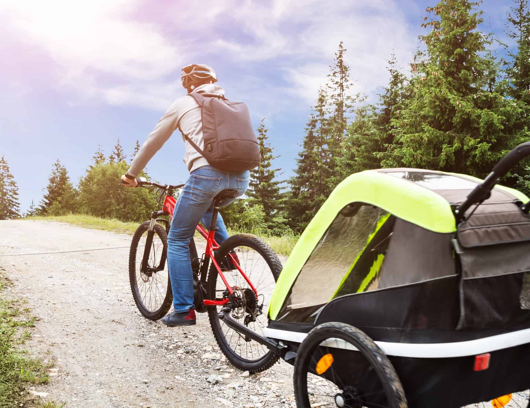 Father With Child In Trailer Riding Mountain Bike In Alps