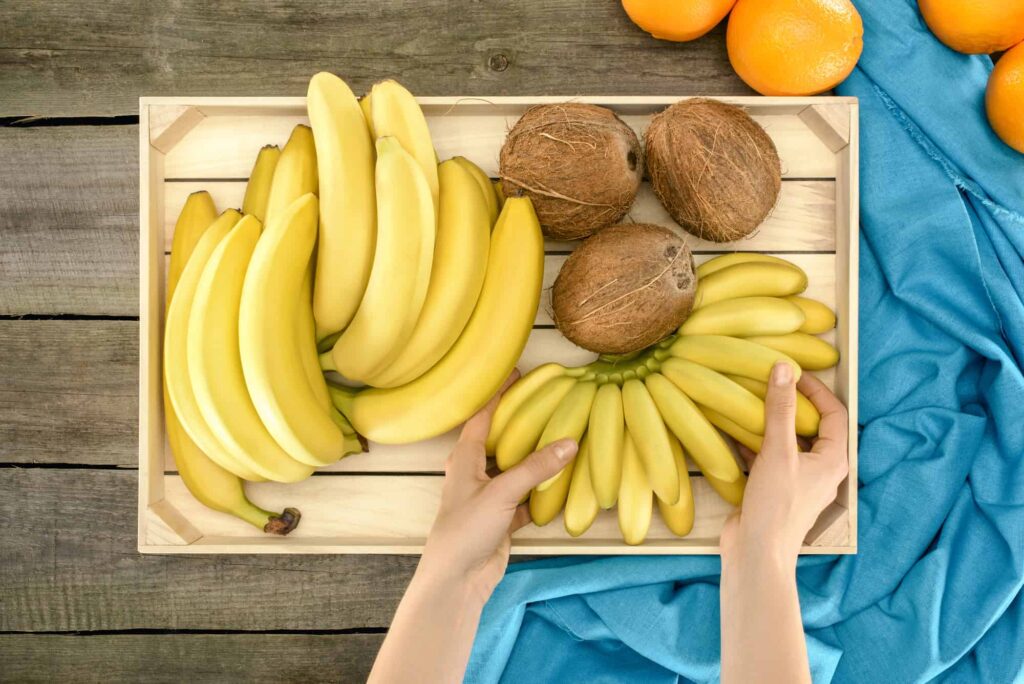 A wooden tray with bananas, oranges and coconuts.