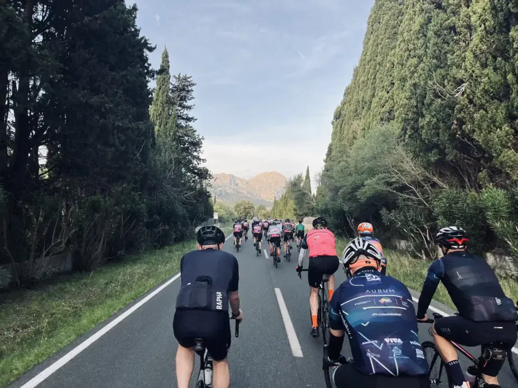 Cyclists riding along a road lined with trees, with mountains visible in the distance under a clear sky.