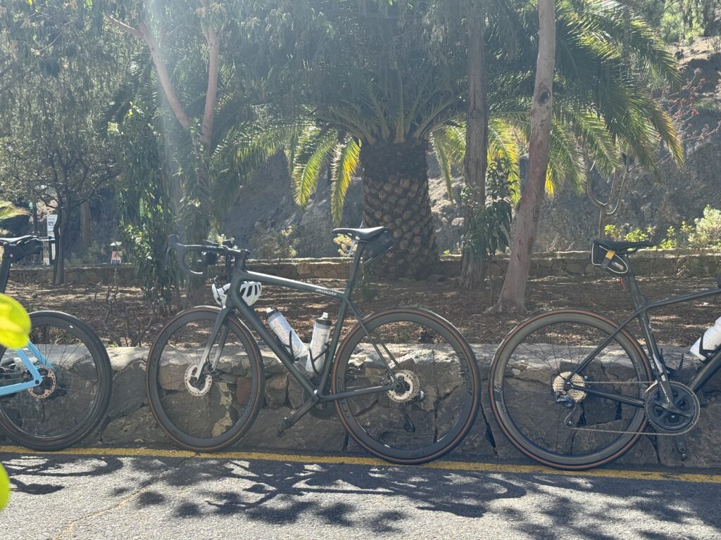 Three road bicycles are parked against a low stone wall on a sunny day, with greenery, including trees and large palm fronds, in the background.