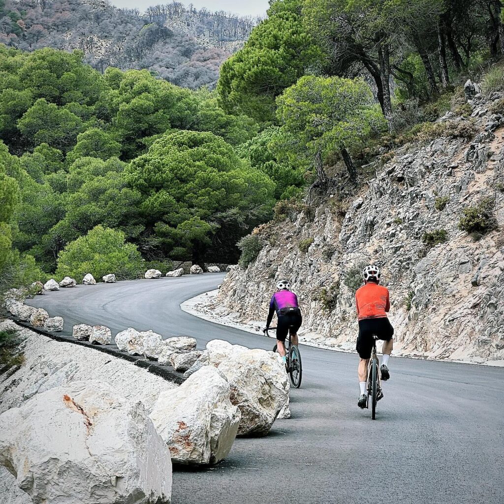 Two cyclists in bright jerseys are pedaling up a twisty mountain road, lined with big rocks and lots of greenery.