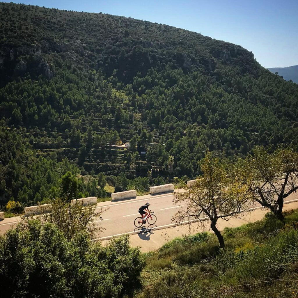 A solo biker’s tackling a hilly, twisty road through the mountains with trees all around and a bright blue sky overhead.